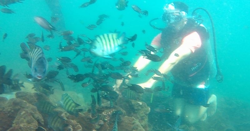Scuba Diving Tarkarli