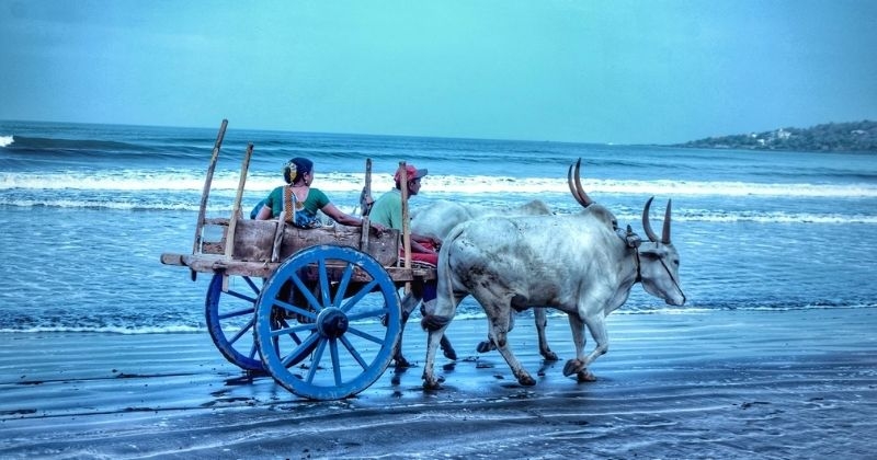 murud beach resorts Murud beach