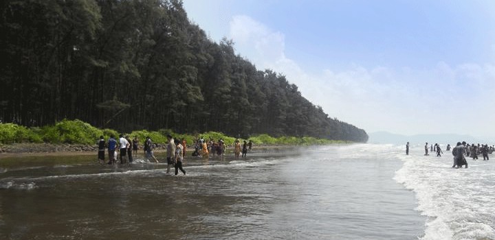 beach resorts in akshi Akshi beach