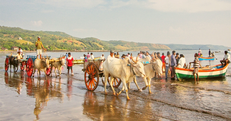 harnai beach