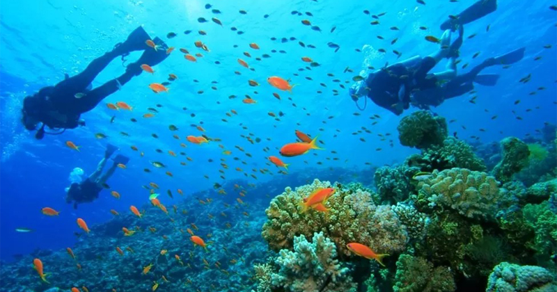 tarkarli scuba diving Scuba Diving Tarkarli