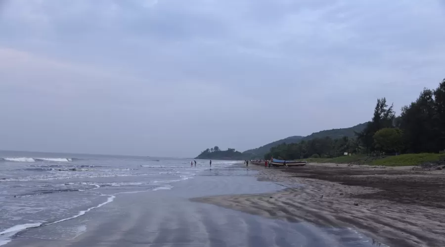 Kalpvruksh beach Resort Ladghar  Ladghar