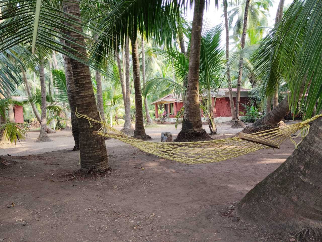 Kalpvruksh homestay Ladghar