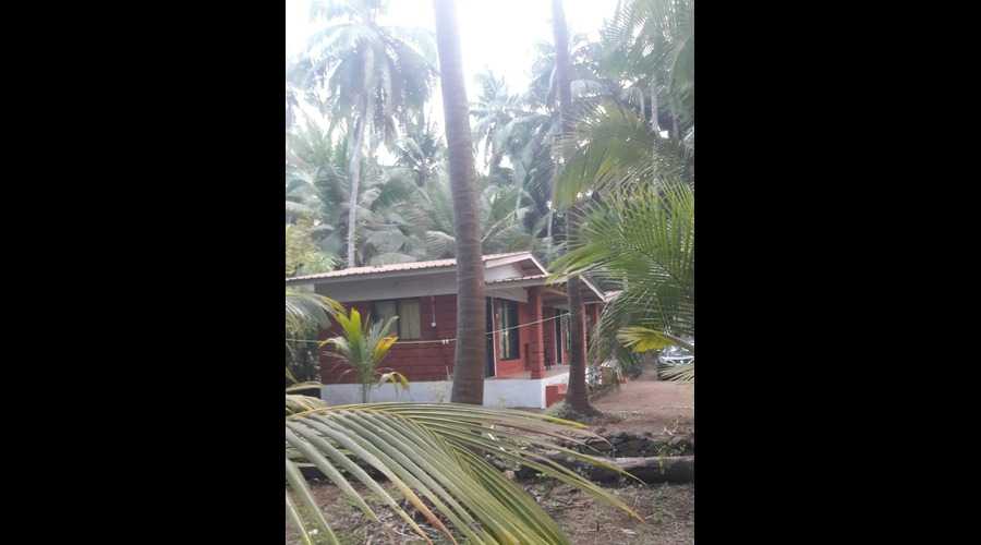 Kalpvruksh beach Resort Ladghar  Ladghar