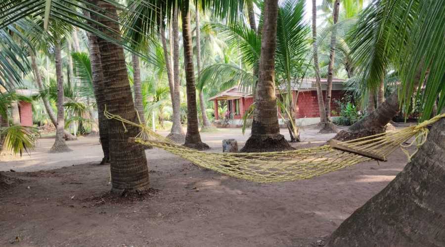 Kalpvruksh homestay Ladghar