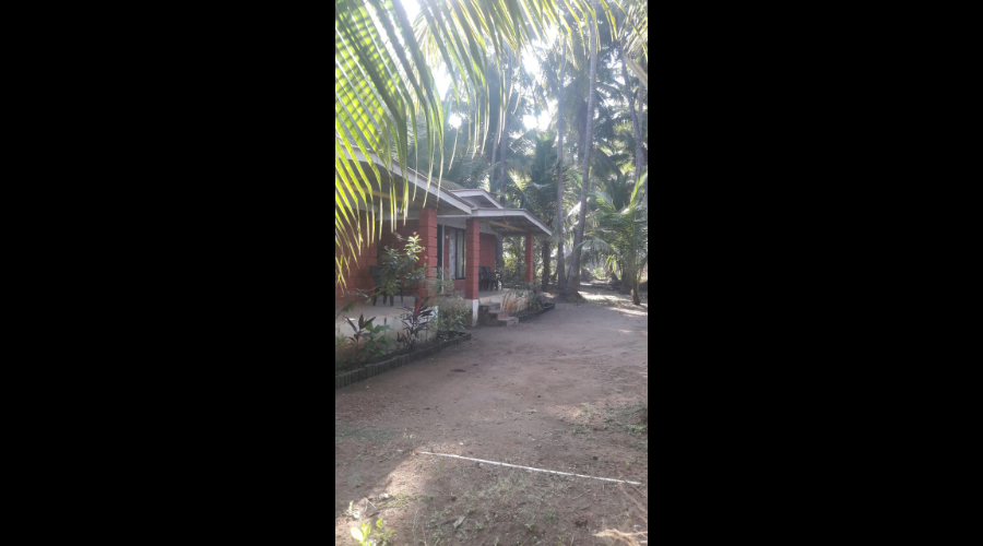 Kalpvruksh beach Resort Ladghar  Ladghar