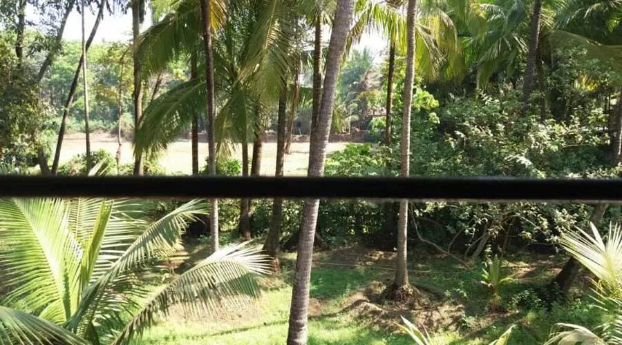 Hotel kalpataru Malvan