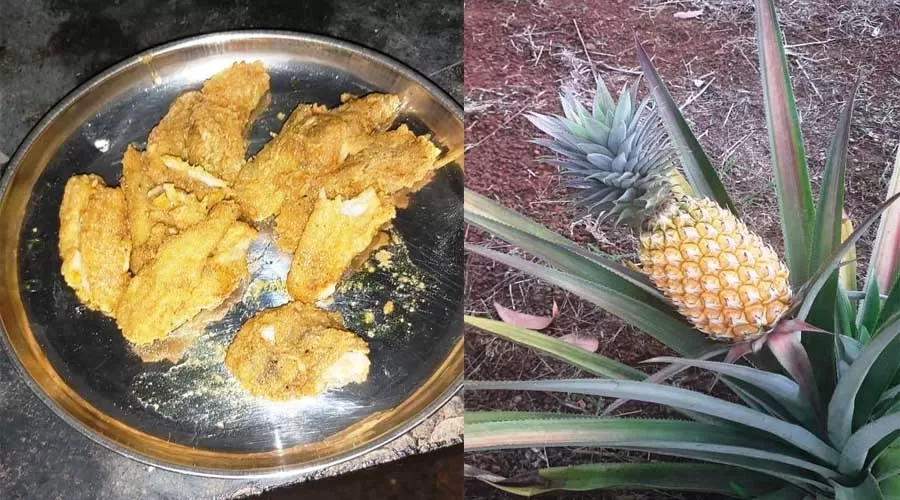 Devraai Homestay guhagar