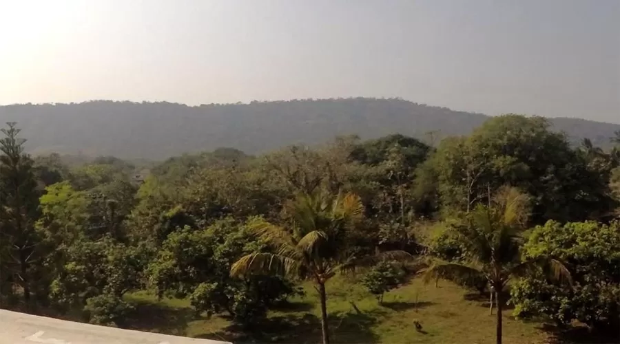 Kasturi Cottage alibaug