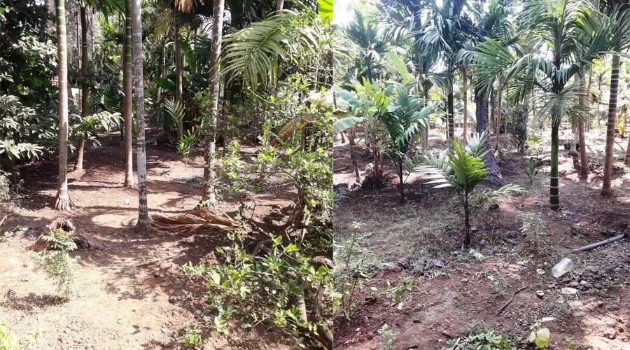 Shree Prasad Homestay diveagar