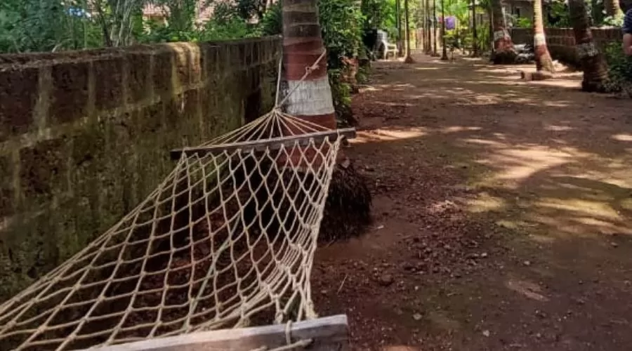 Alibag Thal Coconut Beach Resort  alibaug