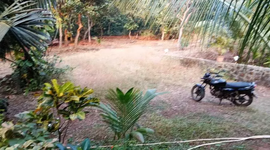 Devyogi Farm House kashid