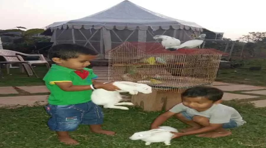 Shree Ganesh Farm House hotelinkonkan.com