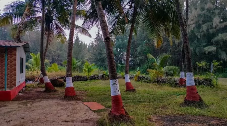 Sagar   Samruddhi @ ladghar