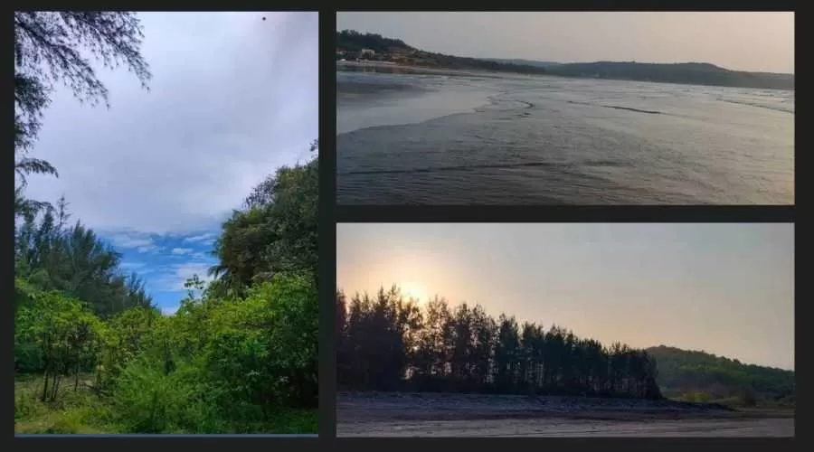 Sagar   Samruddhi @ ladghar