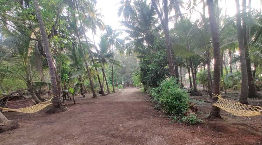 Shree sparsh resort ladghar