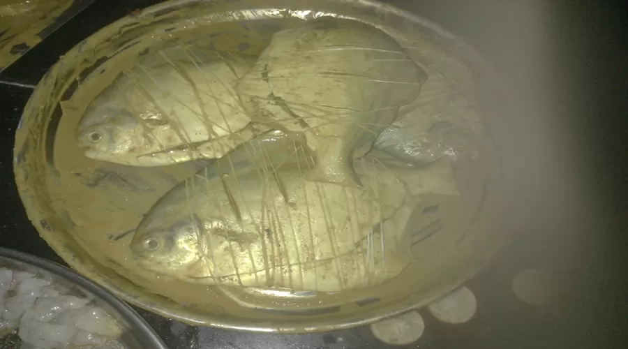 Hotel   Blue Diamond harnai