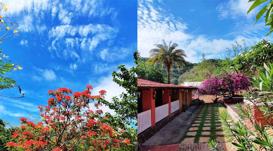 Joshi Wadi Farmhouse bhor