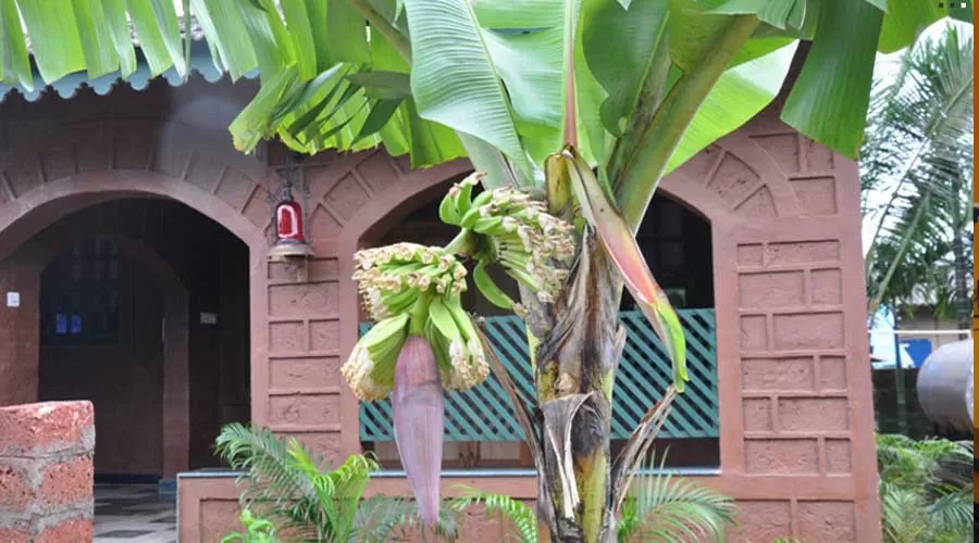 Chira Meadows Eco Resort hotelinkonkan.com