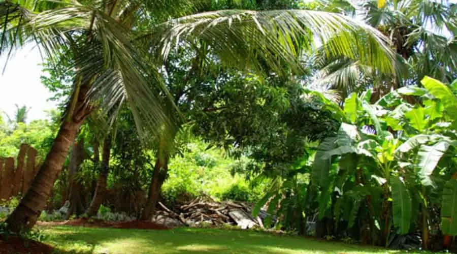 Akshay Bungalow alibaug hotelinkonkan.com