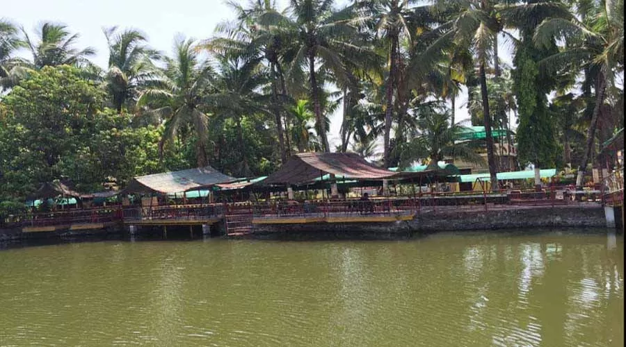 Hotel Open Umbrella Mangaon at hotelinkonkan.com