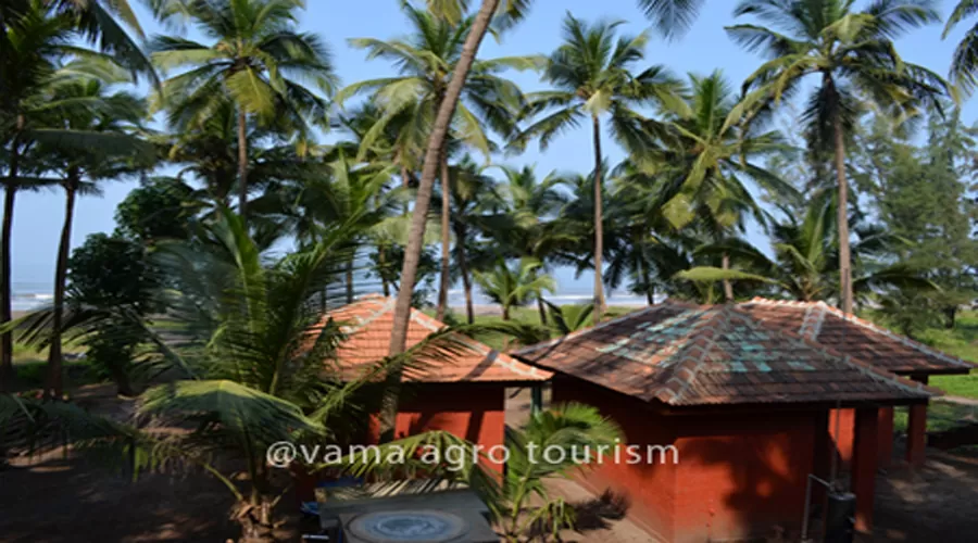 ac rooms vama resort