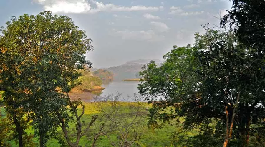 River And Forest kolad at hotelinkonkan.com