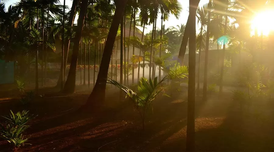 Pratima Beach Resort aravi beach at hotelinkonkan.com