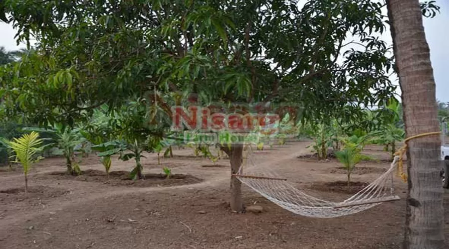 Nisarga kashid images 