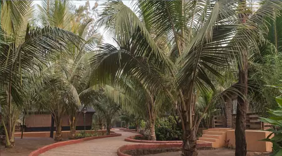 RatnaSagar Resort in ratnagiri at hotelinkonkan.com