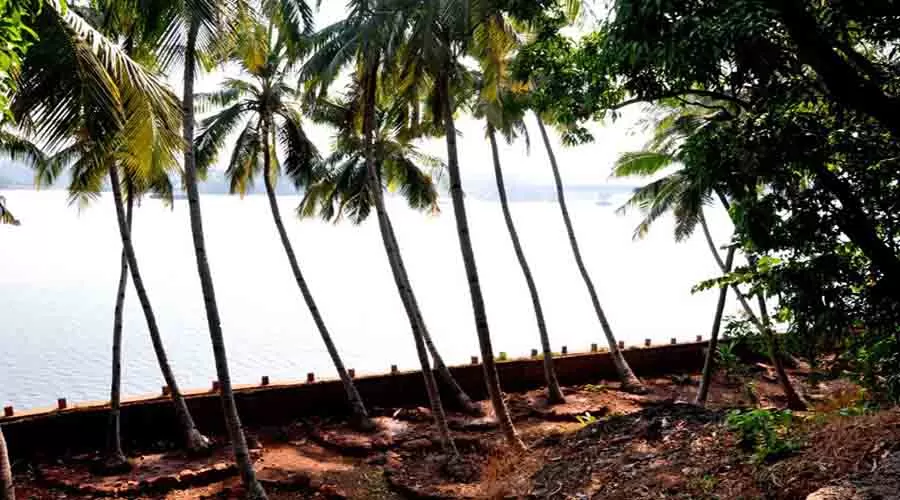 Aamrai Agro Tourism in ratnagiri at hotelinkonkan.com