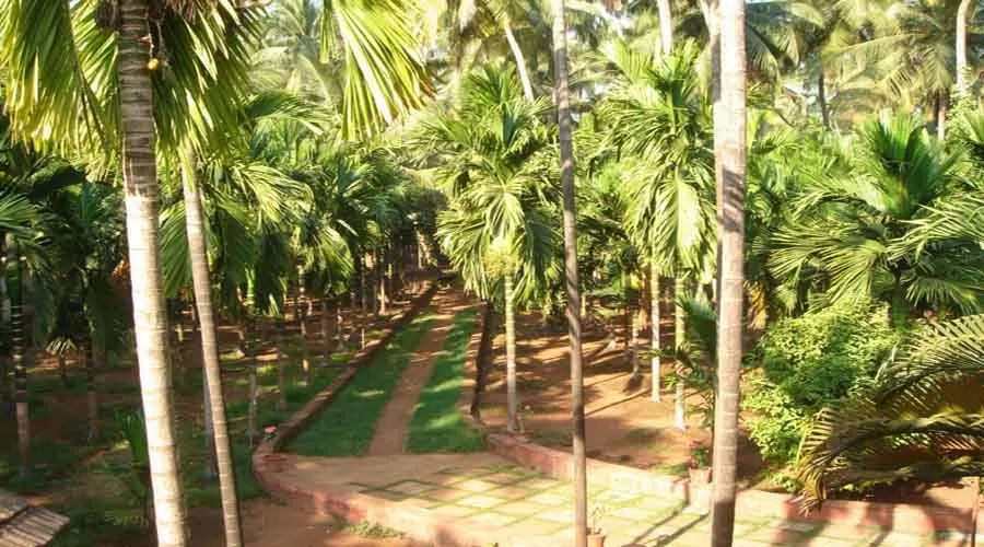 Mody Villa in guhagar at hotelinkonkan.com