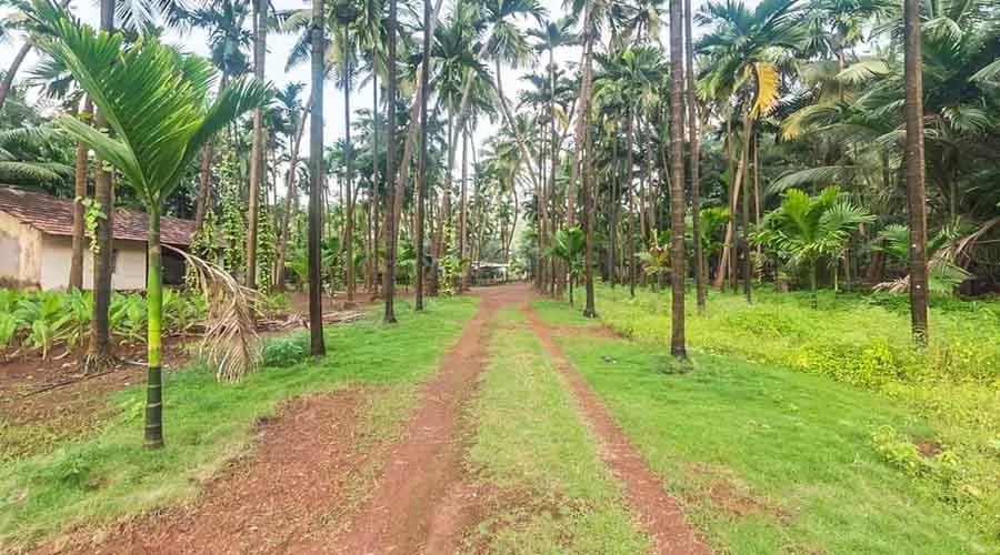 Mody Villa in guhagar at hotelinkonkan.com