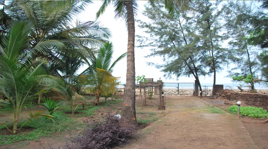 surrounding area beach croft resort