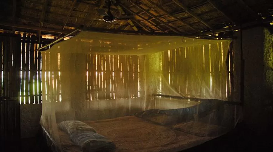 Balaji Farms in nagothane at hotelinkonkan.com