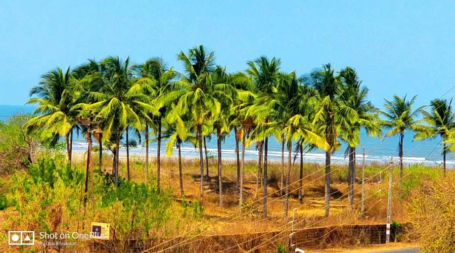 Ojanup Paryatak Niwas harnai