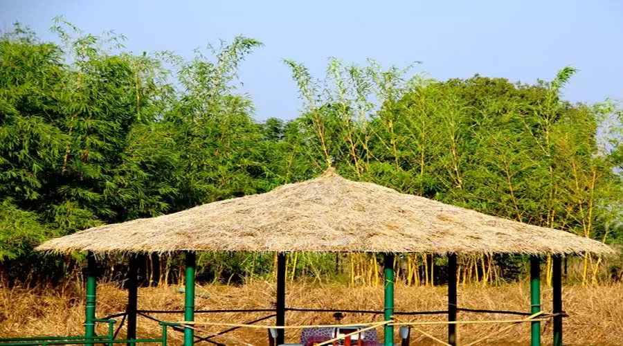 Aranya phansad Homestay in phansad at hotelinkonkan.com