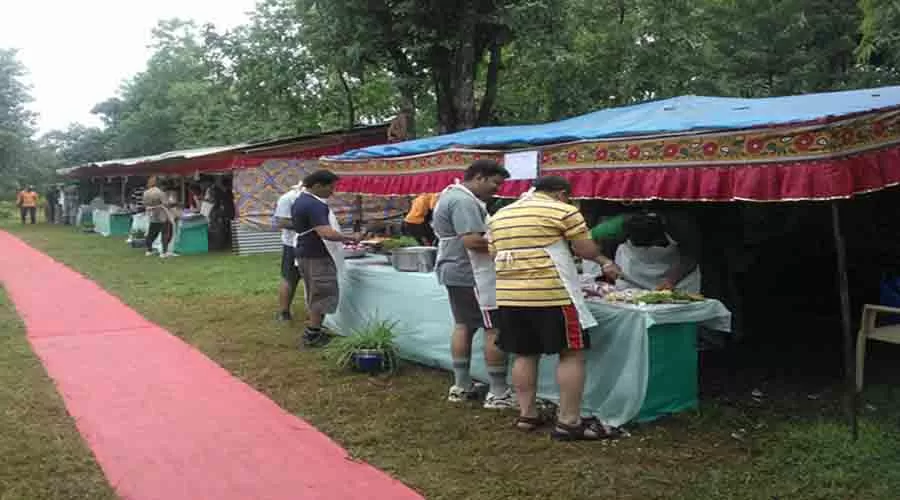 Z Back Adventure in kolad at hotelinkonkan.com