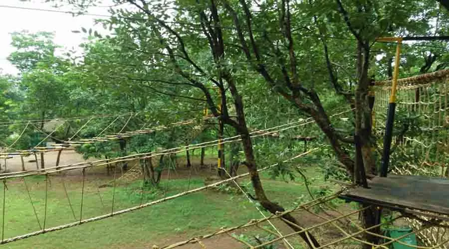 Z Back Adventure in kolad at hotelinkonkan.com