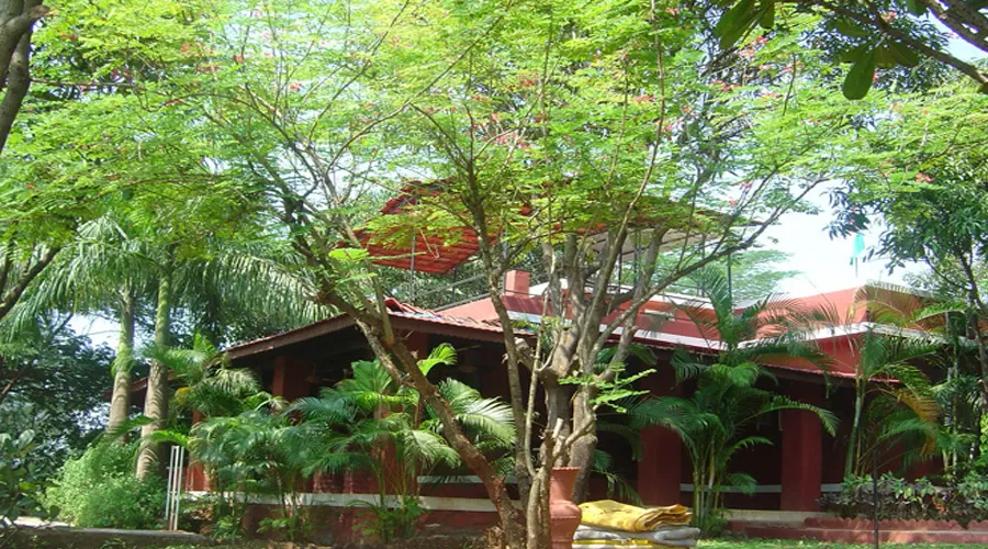Farm House – The Revival in kolad