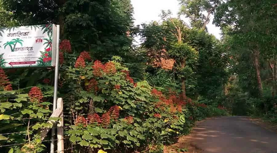 Vanalika Holiday Home in sangemeshwar