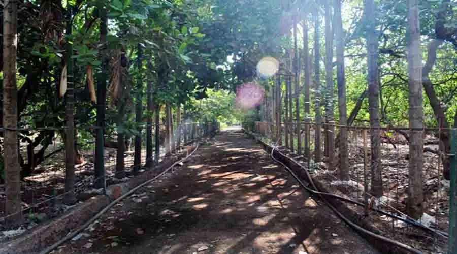 Green Nest Resort in ratnagiri at hotelinkonkan.com