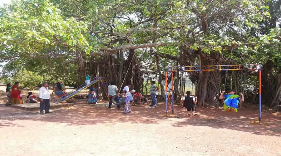 Ganesh Agro Tourism in rajapur at hotelinkonkan.com