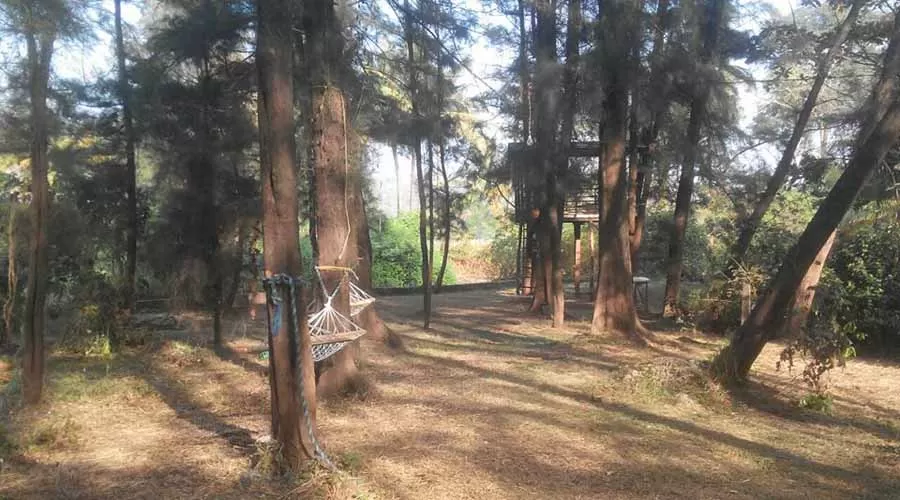 Niwant Sagar Beach Resort in shrivardhan at hotelinkonkan.com