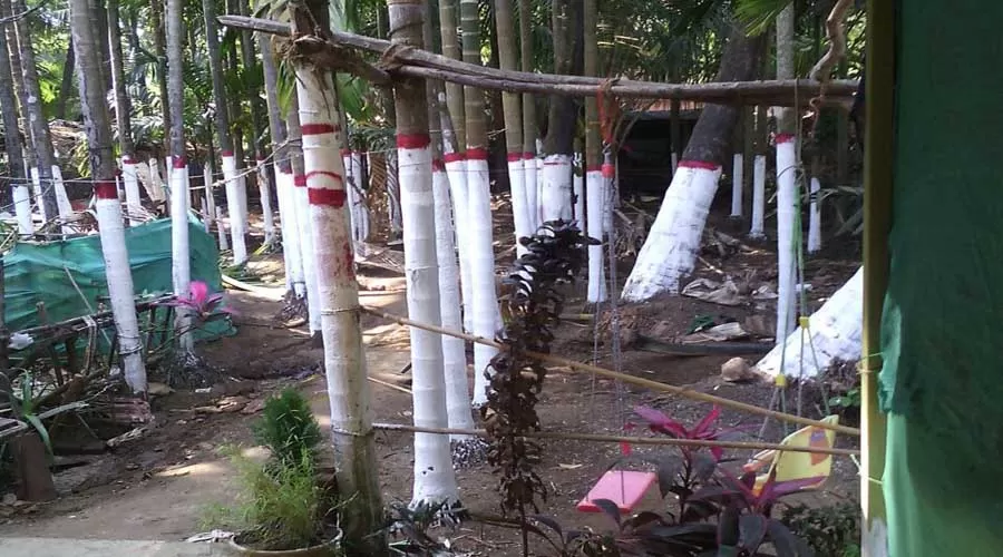 Shree Ballaleshwar Cottage nagaon at hotelinkonkan.com