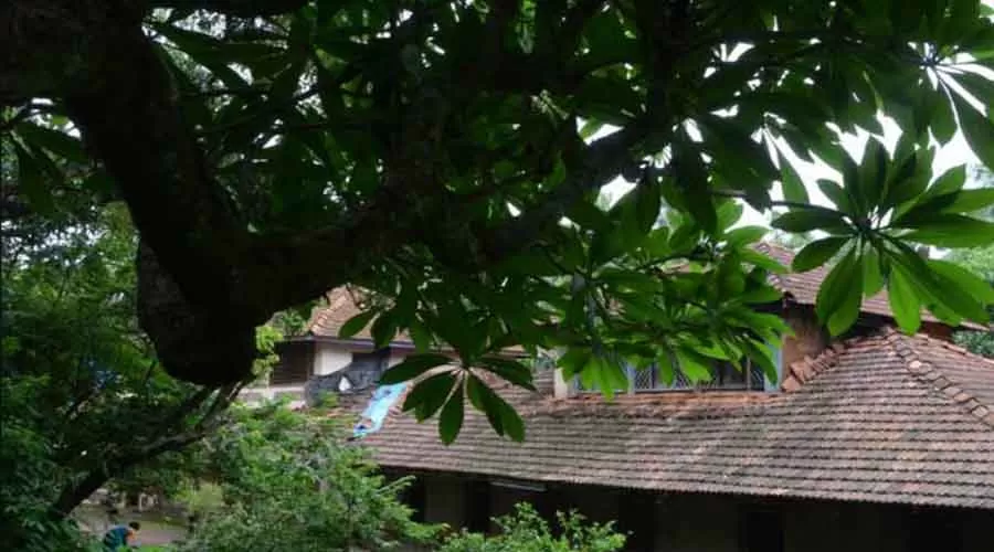 Maachli Homestay at sindhudurg at hotelinkonkan.com