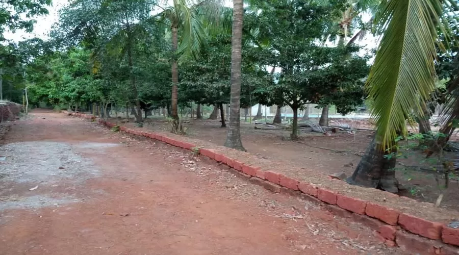 Chaitayna Srushti ladghar