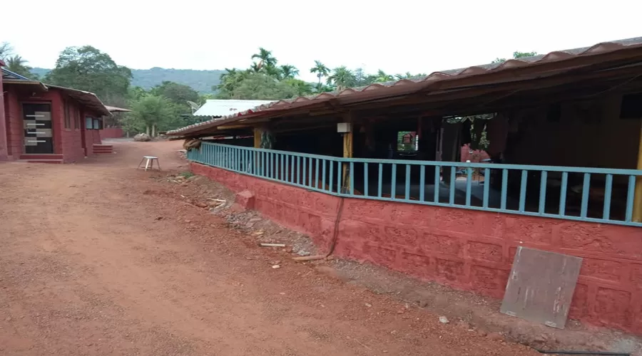 Chaitayna Srushti ladghar