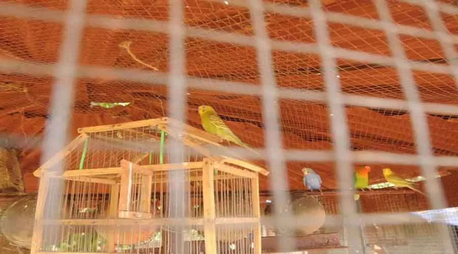 Hotel Parvati Palace in devrukh at hotelinkonkan.com