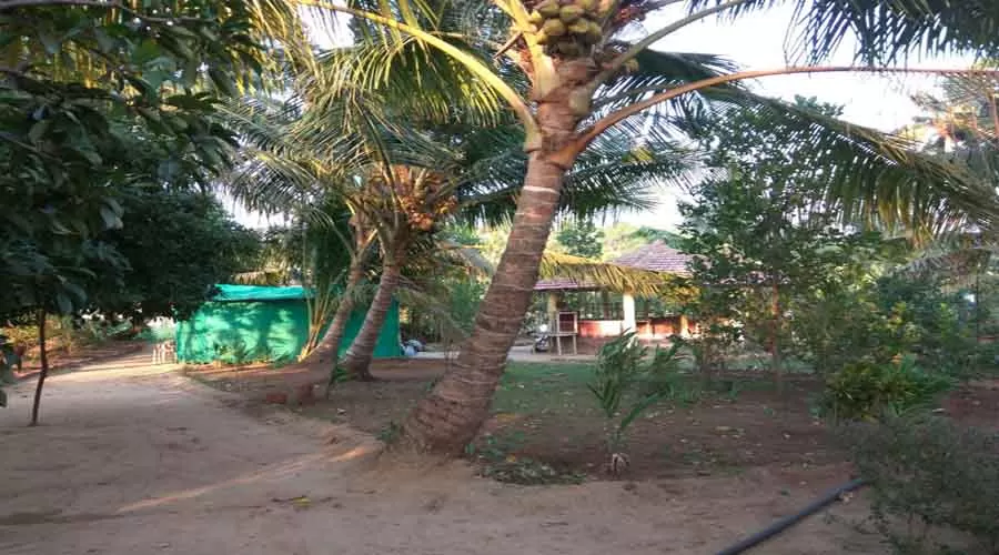 Laxmi Chayaa in shrivardhan at hotelinkonkan.com